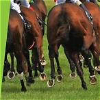best way to bet on horses